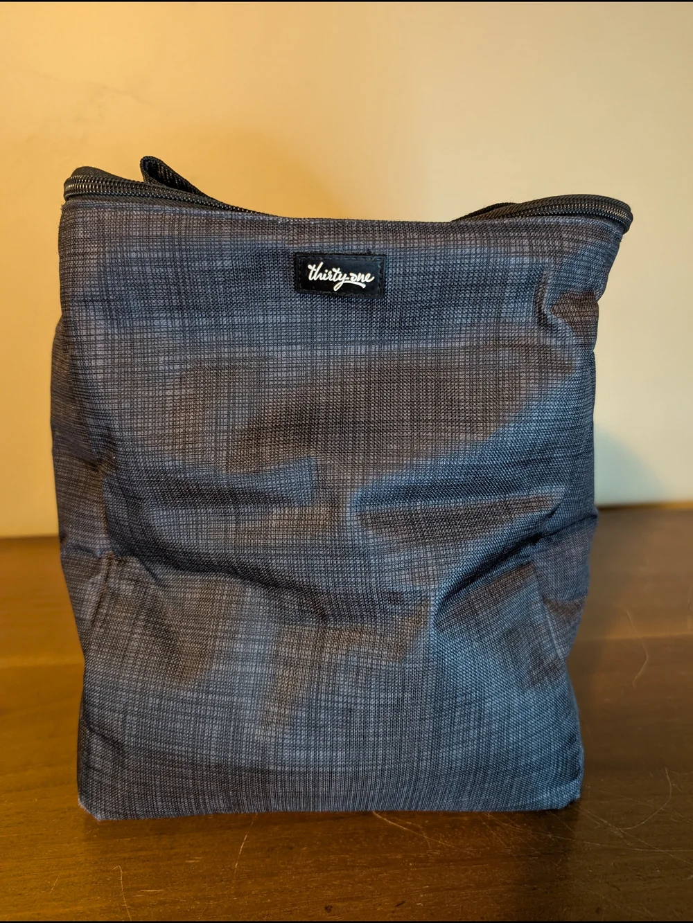 thirty -one Gray Insulated Travel Organizer Bag Carry Case 24 Pack Cooler